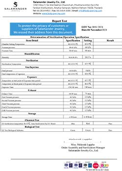 STERILIZE LOT 0881 (2024-11-04)